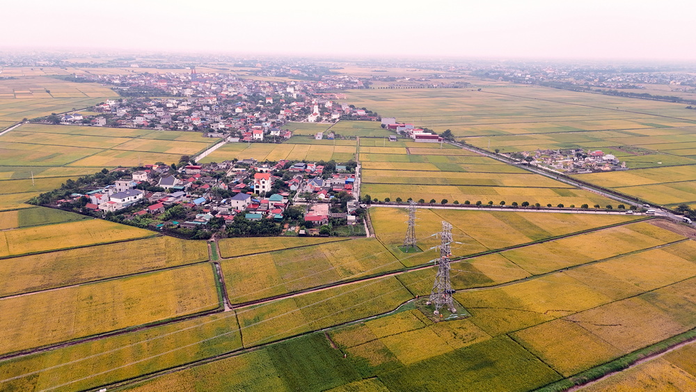 Hoàn thành thay thế cách điện đường dây 220kV mạch kép Thái Bình – Tiền Hải – Trực Ninh đúng tiến độ trong điều kiện mưa bão khắc nghiệt- Ảnh 1. https://www.npt.com.vn/userfile/User/1npt/NguyenManhHung3/images/2025/10/27-10/02-20251027084925144.JPG