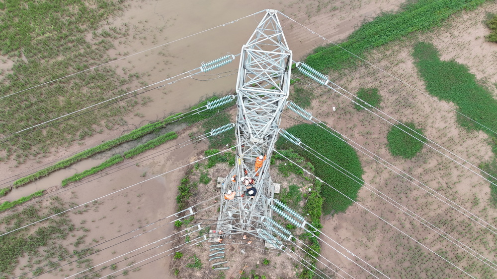 Hoàn thành thay thế cách điện đường dây 220kV mạch kép Thái Bình – Tiền Hải – Trực Ninh đúng tiến độ trong điều kiện mưa bão khắc nghiệt- Ảnh 3. https://www.npt.com.vn/userfile/User/1npt/NguyenManhHung3/images/2025/10/27-10/03-20251027084925210.JPG