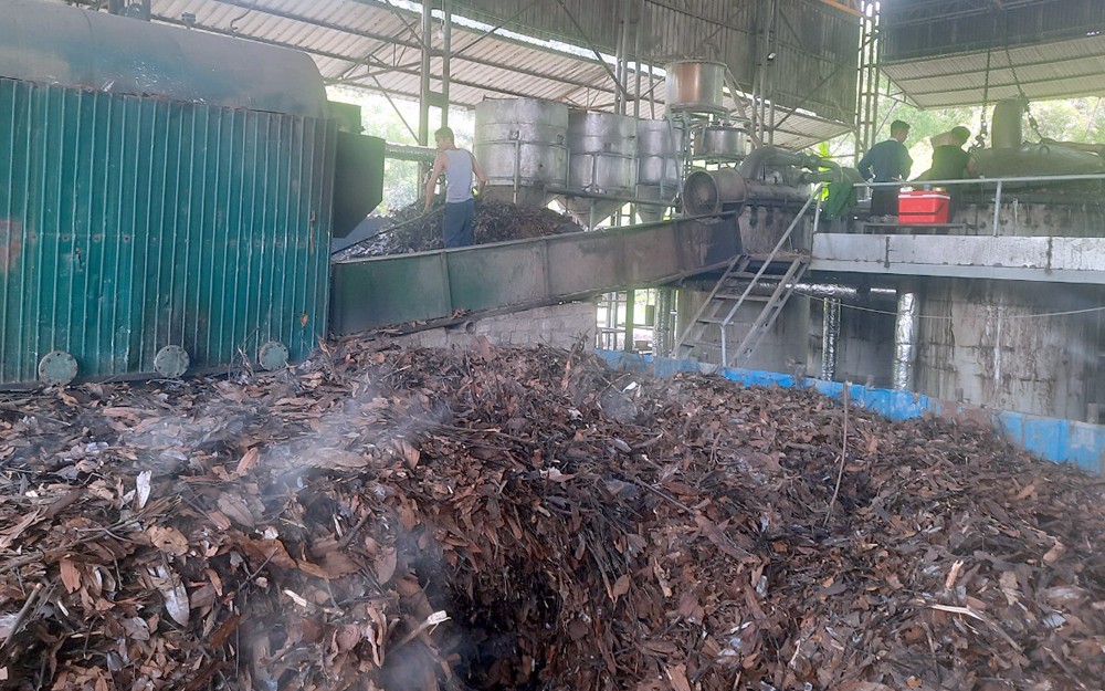 Lào Cai: Biến dược liệu bản địa thành ngành kinh tế mũi nhọn