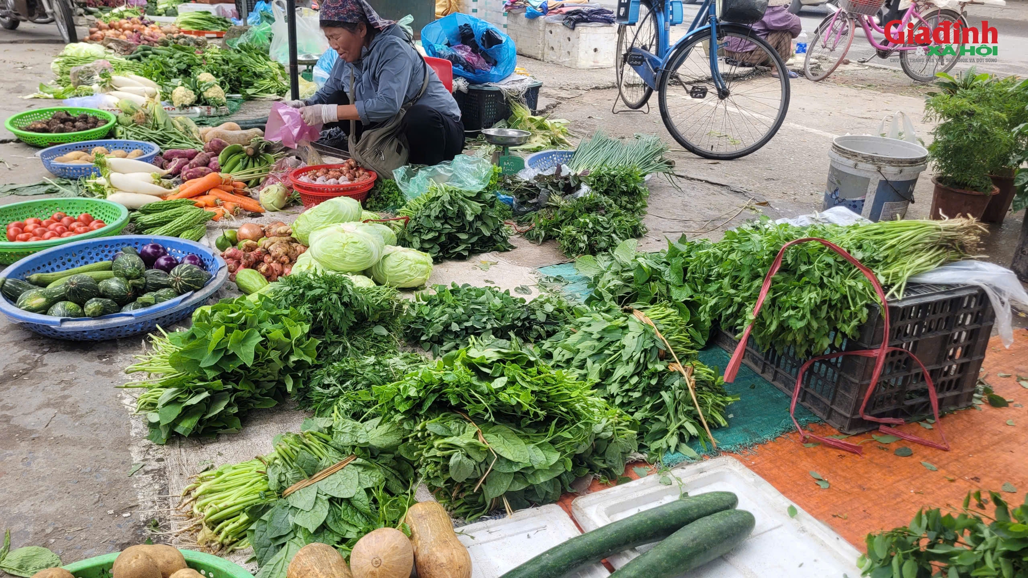 Gia đình thu nhập thấp xoay xở thế nào khi rau xanh là mặt hàng rẻ nhất cũng trở thành xa xỉ sau bão?- Ảnh 1.