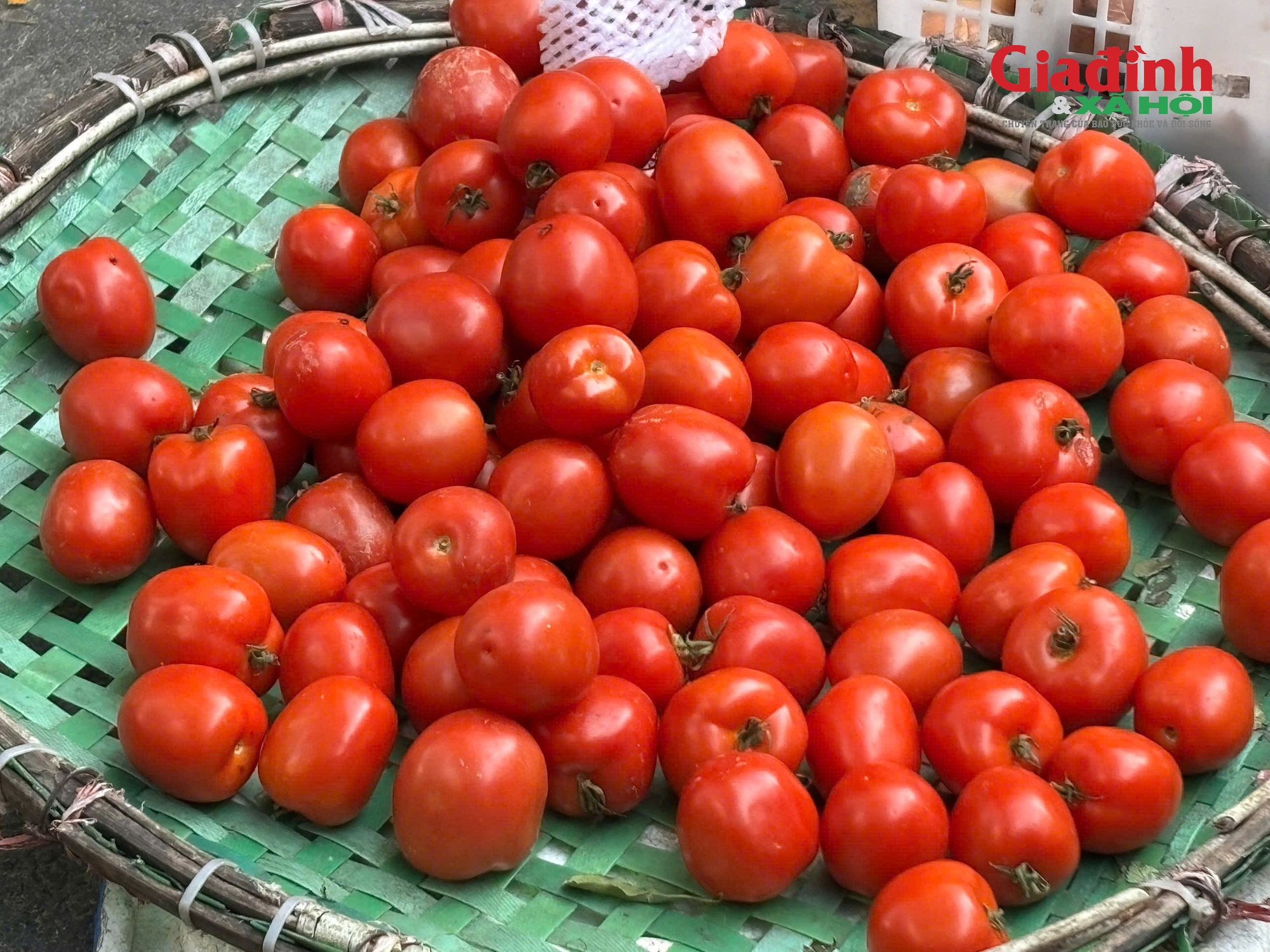 Gia đình thu nhập thấp xoay xở thế nào khi rau xanh là mặt hàng rẻ nhất cũng trở thành xa xỉ sau bão?- Ảnh 2.