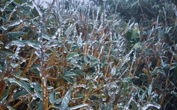 Vùng núi phía Bắc xuất hiện băng giá