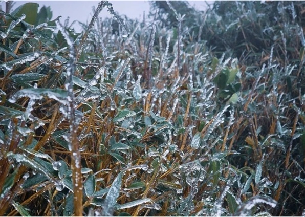 Vùng núi phía Bắc xuất hiện băng giá- Ảnh 2. Vùng núi phía Bắc xuất hiện băng giá- Ảnh 2.