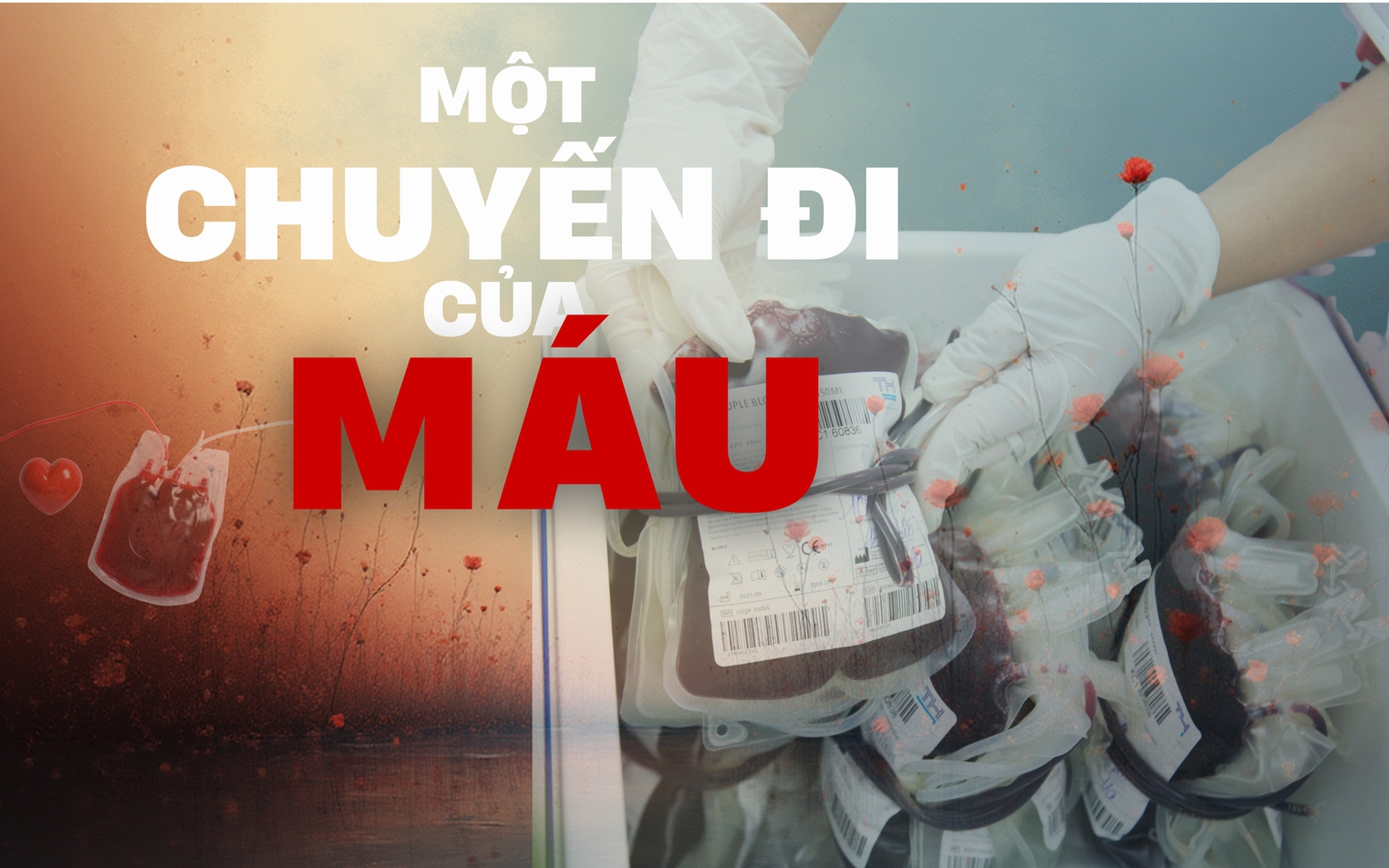 [Phóng sự ảnh] Giọt máu nghĩa tình và hành trình "chặn" nguy cơ lây nhiễm HIV