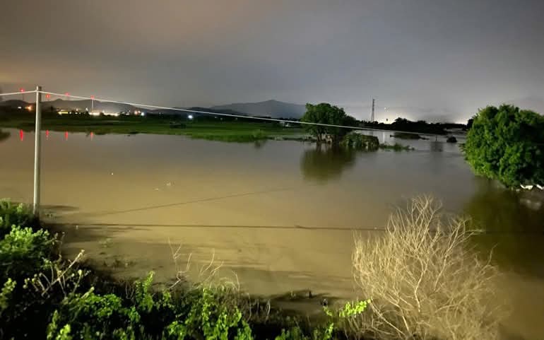 Bộ Nông nghiệp và Môi trường chỉ đạo khắc phục sự cố thiên tai gãy cầu Cây Sung ở Quảng Ngãi- Ảnh 1.