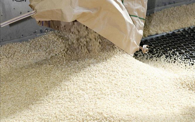 Giá gạo xuất khẩu giảm nhẹ do nhu cầu yếu