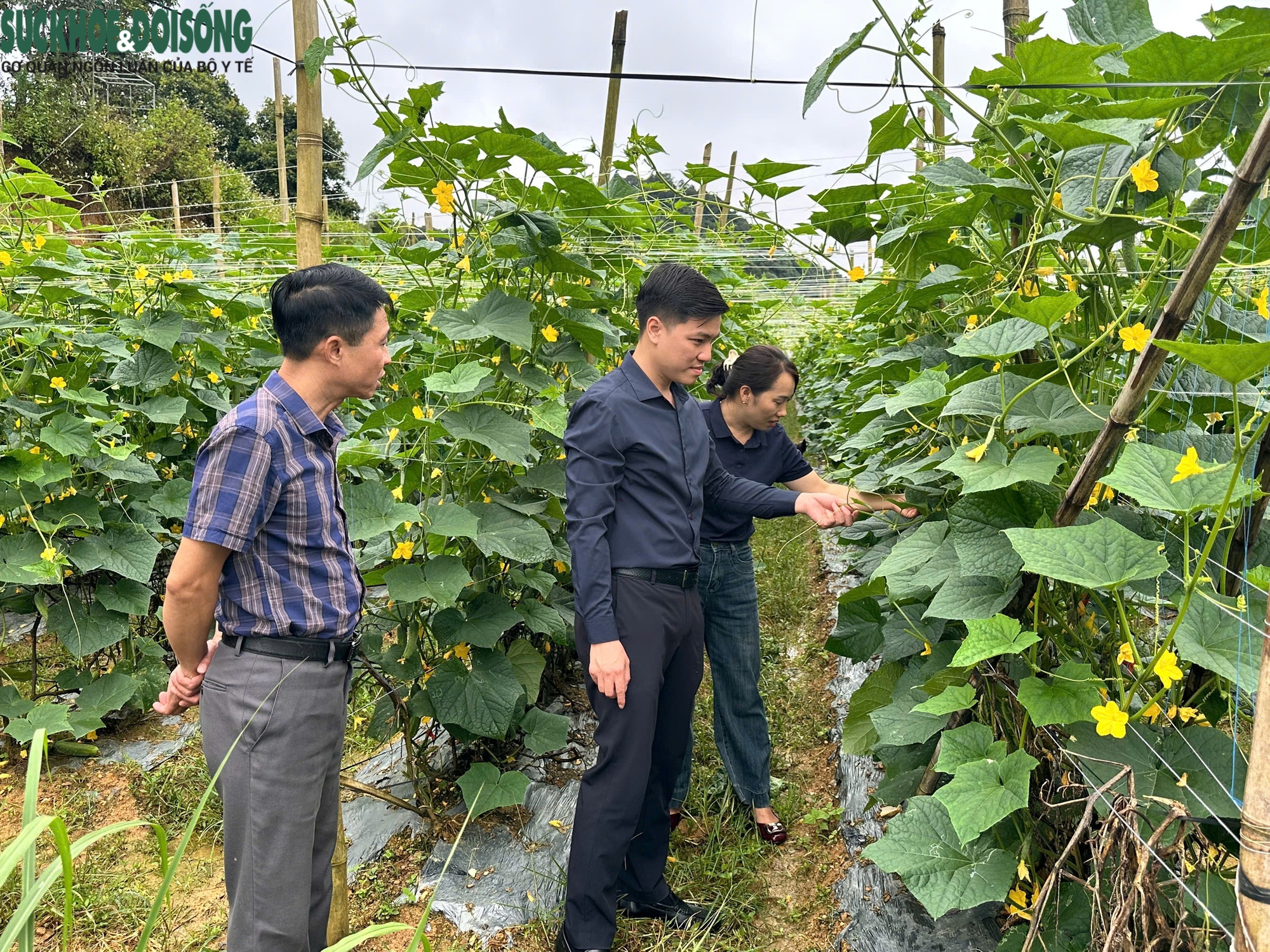 Góp ý kiến vào dự thảo văn kiện Đại hội XIV: Bản làng đổi thay từng ngày- Ảnh 2.