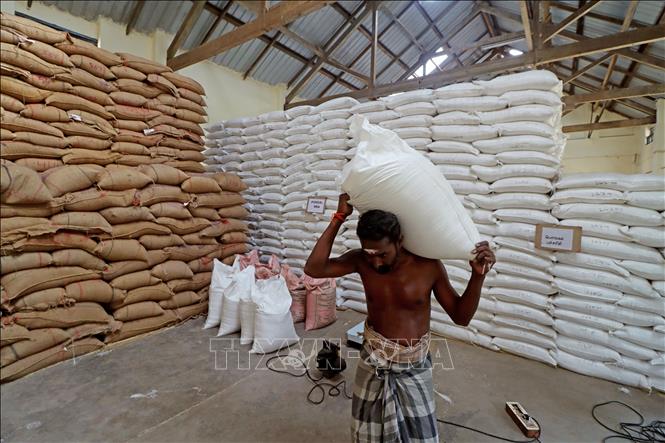 Giá gạo xuất khẩu giảm nhẹ do nhu cầu yếu- Ảnh 2. Giá gạo xuất khẩu giảm nhẹ do nhu cầu yếu- Ảnh 2.
