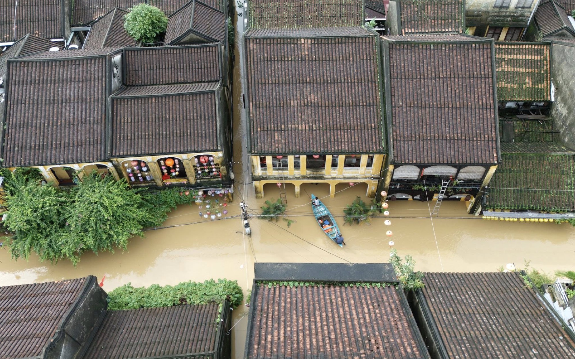 Đỉnh đồi ở Huế xuất hiện vết nứt hở hơn 1m- Ảnh 3.