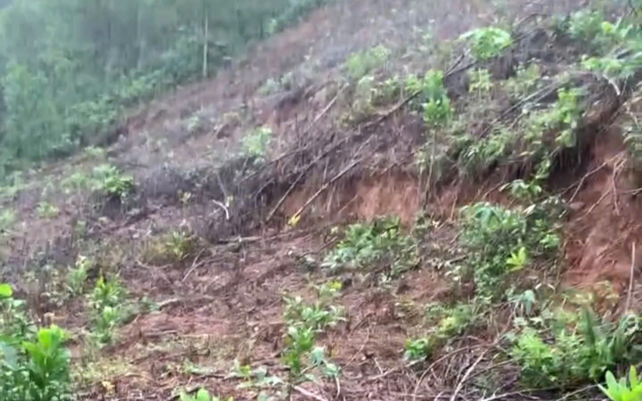 Phường ở Huế bị lũ vây nhiều ngày phản bác thông tin sai lệch trong cứu trợ- Ảnh 3. Đỉnh đồi ở Huế xuất hiện vết nứt hở hơn 1m