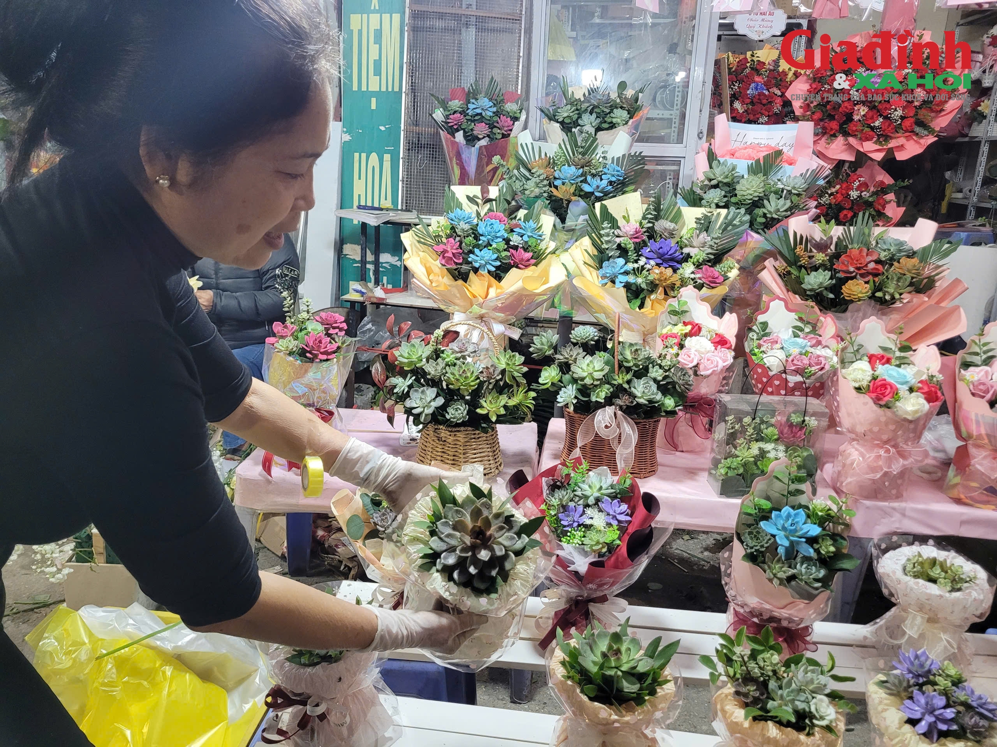 Loại cây cảnh bán chạy giá từ 80.000 đồng được phụ huynh và học sinh săn lùng để làm quà tặng thầy cô- Ảnh 2.