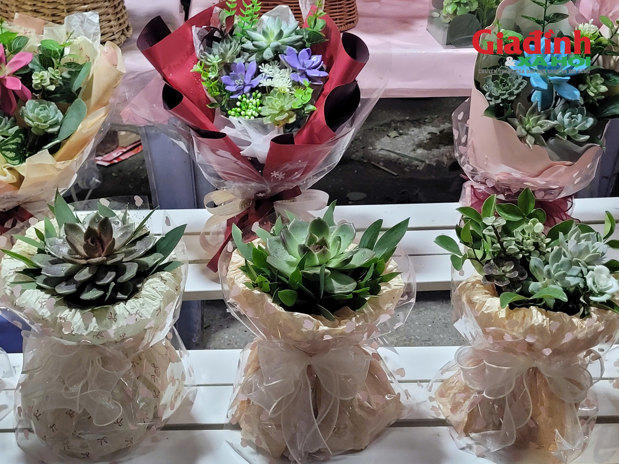 Loại cây cảnh bán chạy giá từ 80.000 đồng được phụ huynh và học sinh săn lùng để làm quà tặng thầy cô- Ảnh 3.