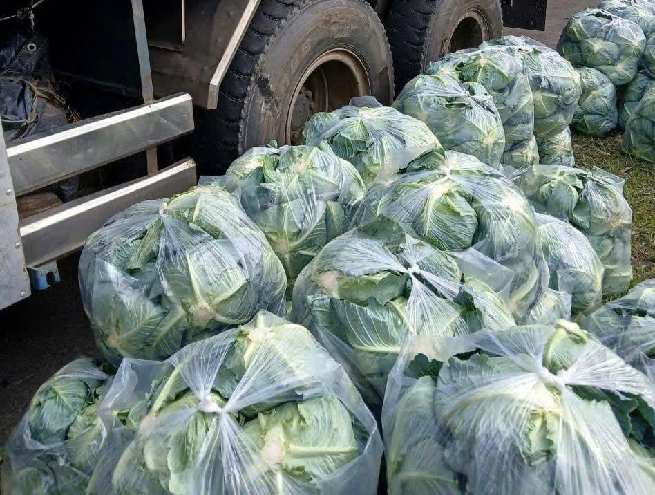 Nguồn hàng hoá phục vụ miền Trung dần ổn định, giá rau tại TP Hồ Chí Minh tăng mạnh- Ảnh 4.