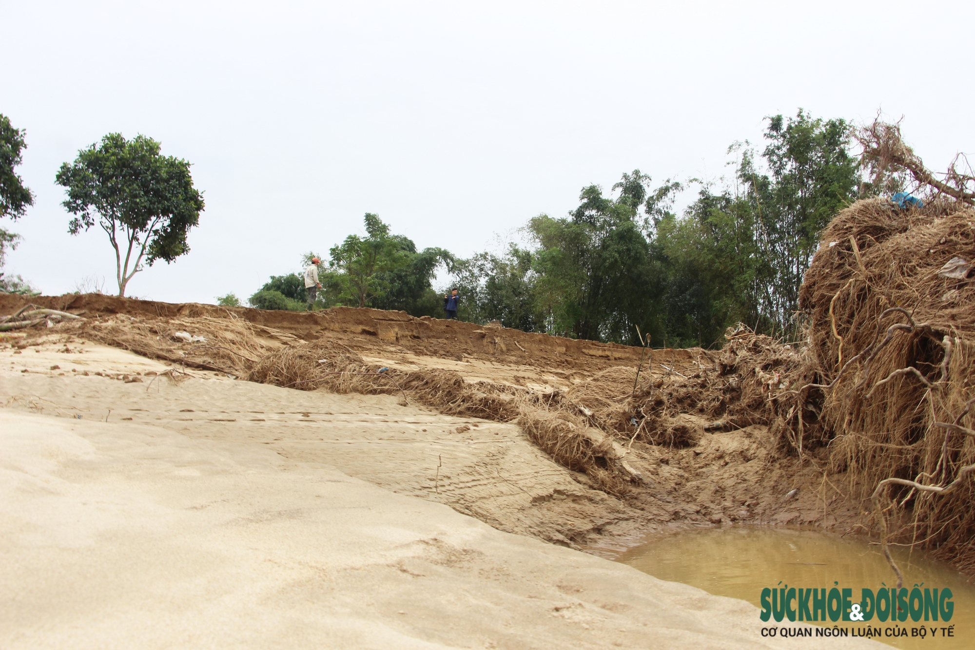 Sông Vu Gia tan tác sau lũ, nơi sạt lở nuốt đất, nơi cát bồi kín ruộng- Ảnh 9.