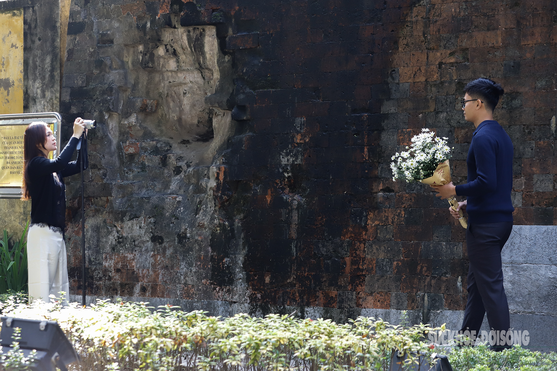 Hà Nội dịu dàng mùa hoa 'gọi đông'- Ảnh 3.