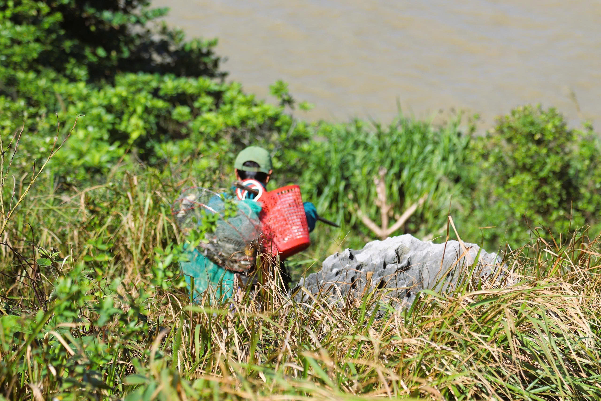 Chim hoang dã mắc kẹt trong ma trận bẫy giữa lưng chừng trời- Ảnh 18.