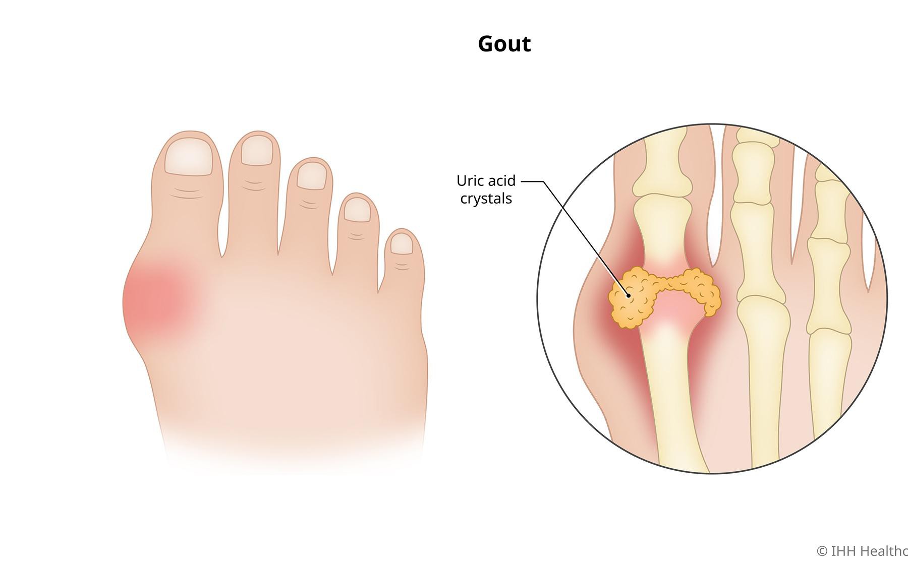 photo 1763870504103 17638705047501836024176 0 0 1125 1800 crop 17638708048601103639998