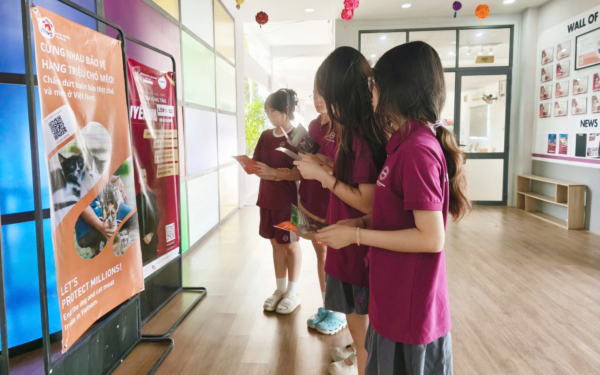 Chấm dứt buôn bán thịt chó, mèo gắn với mục tiêu loại trừ bệnh dại- Ảnh 3.