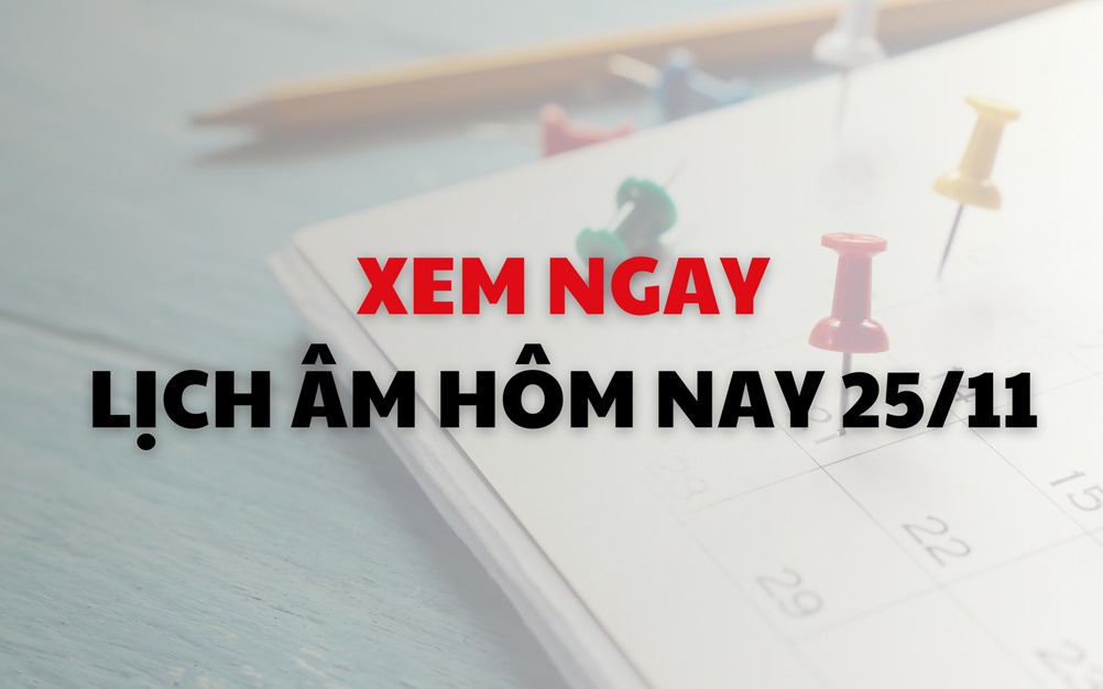 Tử vi 12 con giáp hôm nay 25/11: Dần thăng tiến, Hợi tài lộc dồi dào- Ảnh 3.