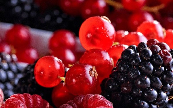 5 loại thực phẩm "vàng" giúp giải độc gan và tăng cường chức năng gan