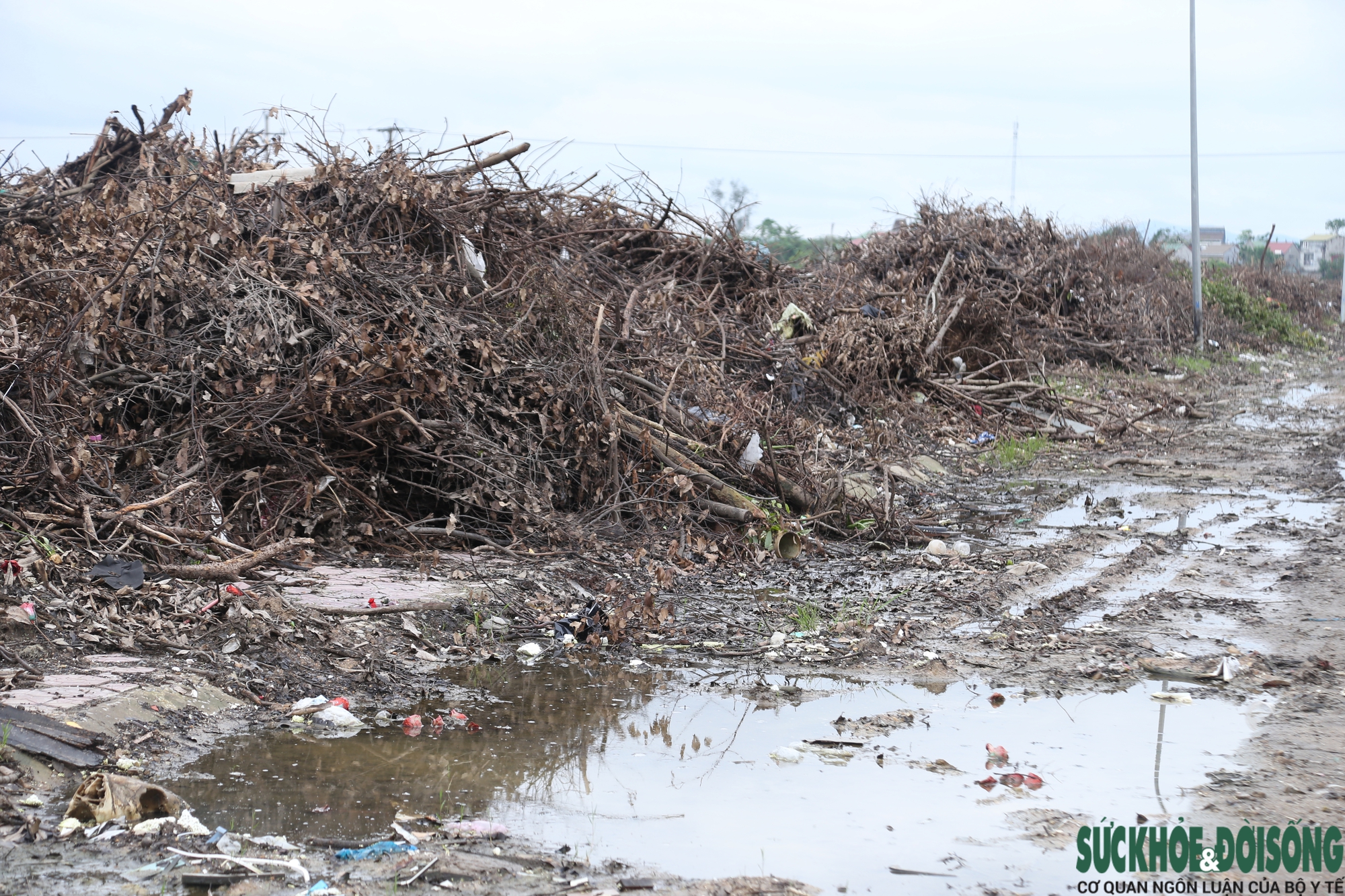 Nghệ An: Rác chất thành núi gây ô nhiễm- Ảnh 8.