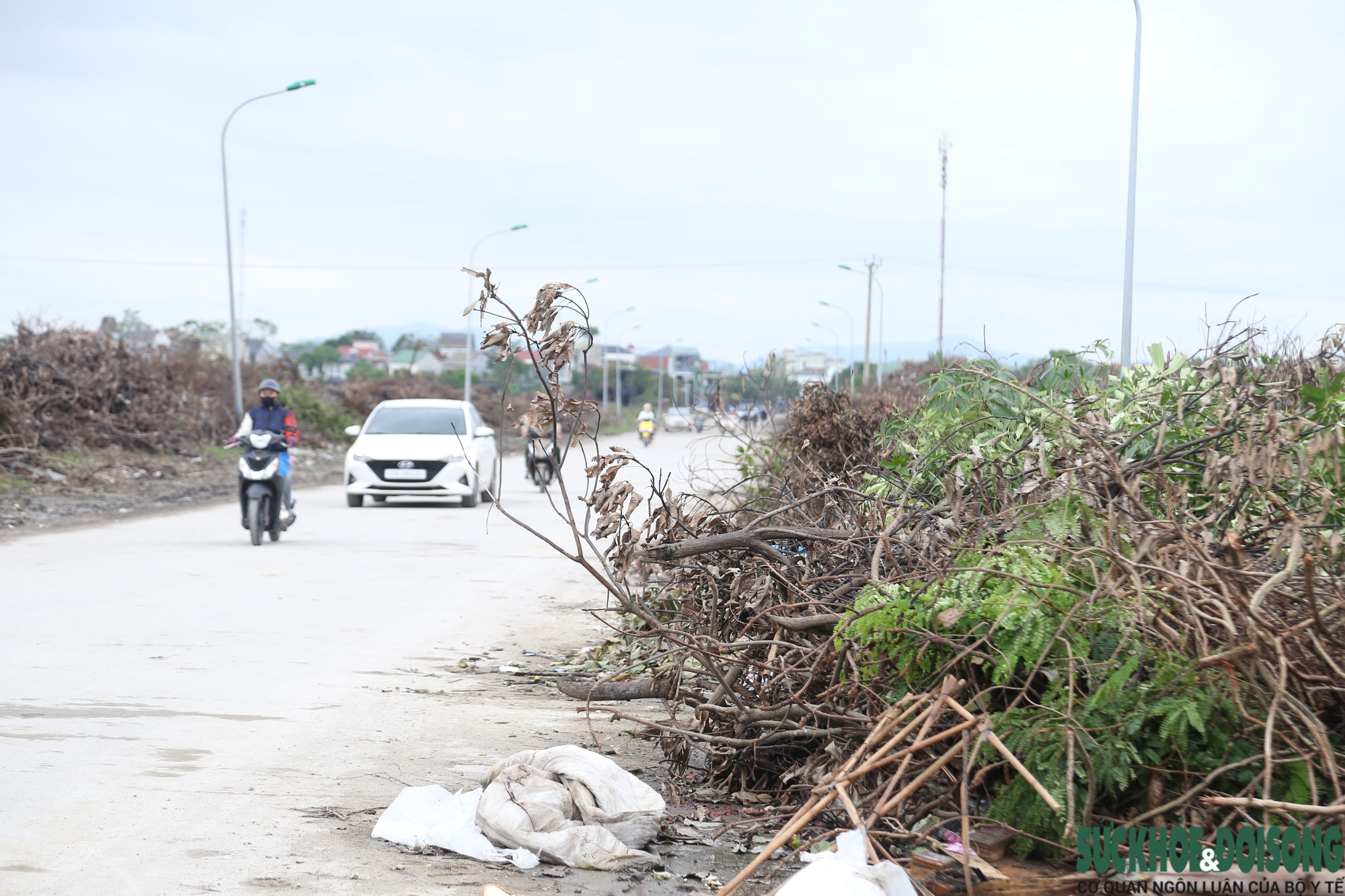 Nghệ An: Rác chất thành núi gây ô nhiễm- Ảnh 12.