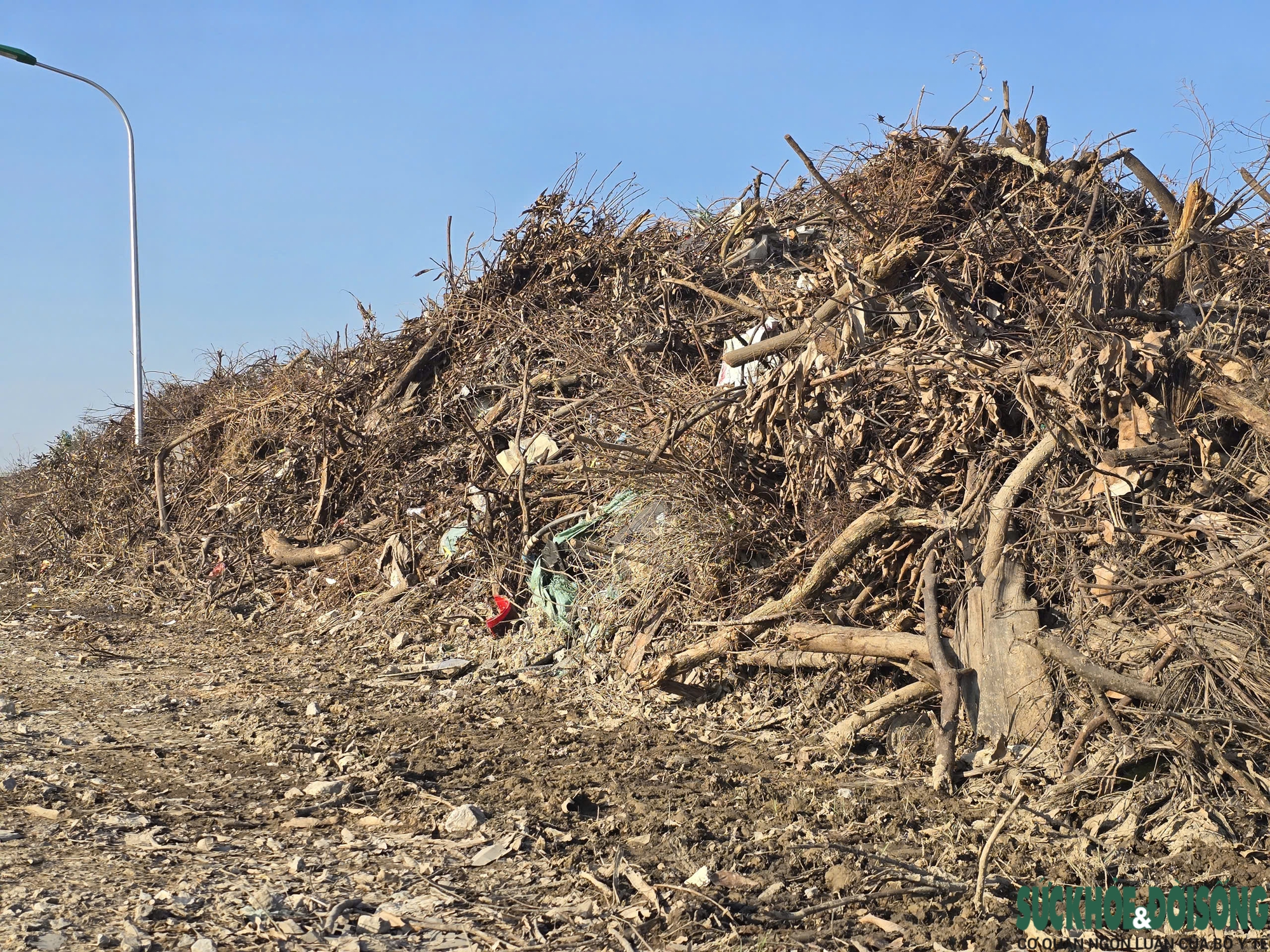 Nghệ An: Rác chất thành núi gây ô nhiễm- Ảnh 13.