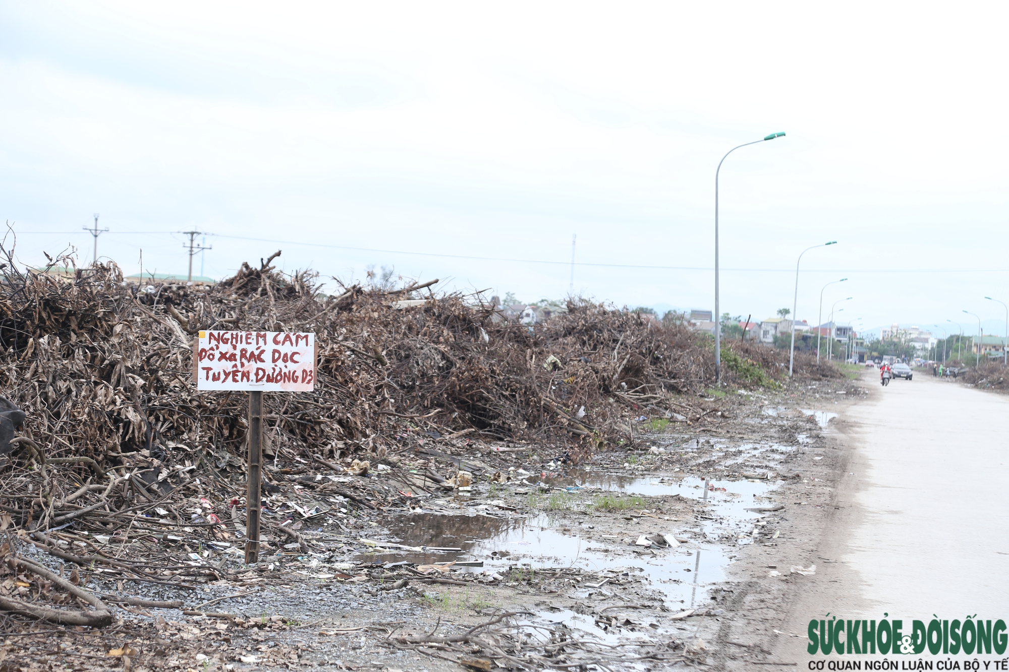 Nghệ An: Rác chất thành núi gây ô nhiễm- Ảnh 16.