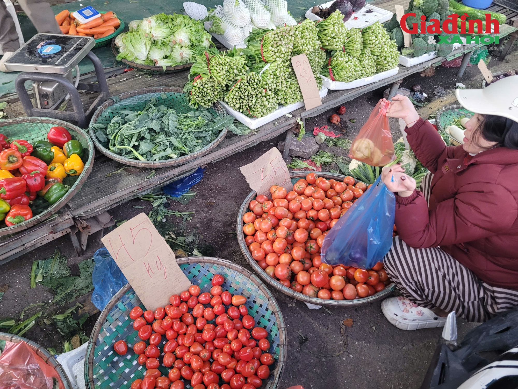 Sau mưa bão, tôm hùm Phú Yên tìm nơi giải cứu từ 180.000 đồng/kg, người dân ở Hà Nội 'đo đếm' từng cọng hành vì rau xanh đắt đỏ- Ảnh 1.