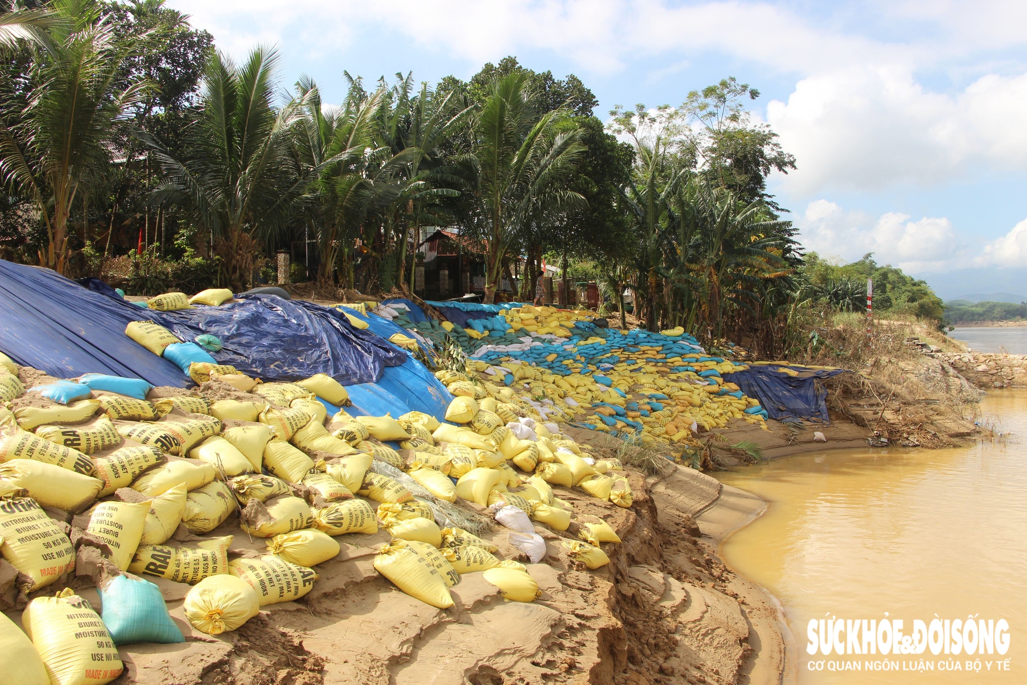 Sạt lở 'đe dọa' hàng trăm hộ dân, Đà Nẵng công bố tình huống khẩn cấp về thiên tai- Ảnh 1. Sạt lở 'đe dọa' hàng trăm hộ dân, Đà Nẵng công bố tình huống khẩn cấp về thiên tai- Ảnh 1.