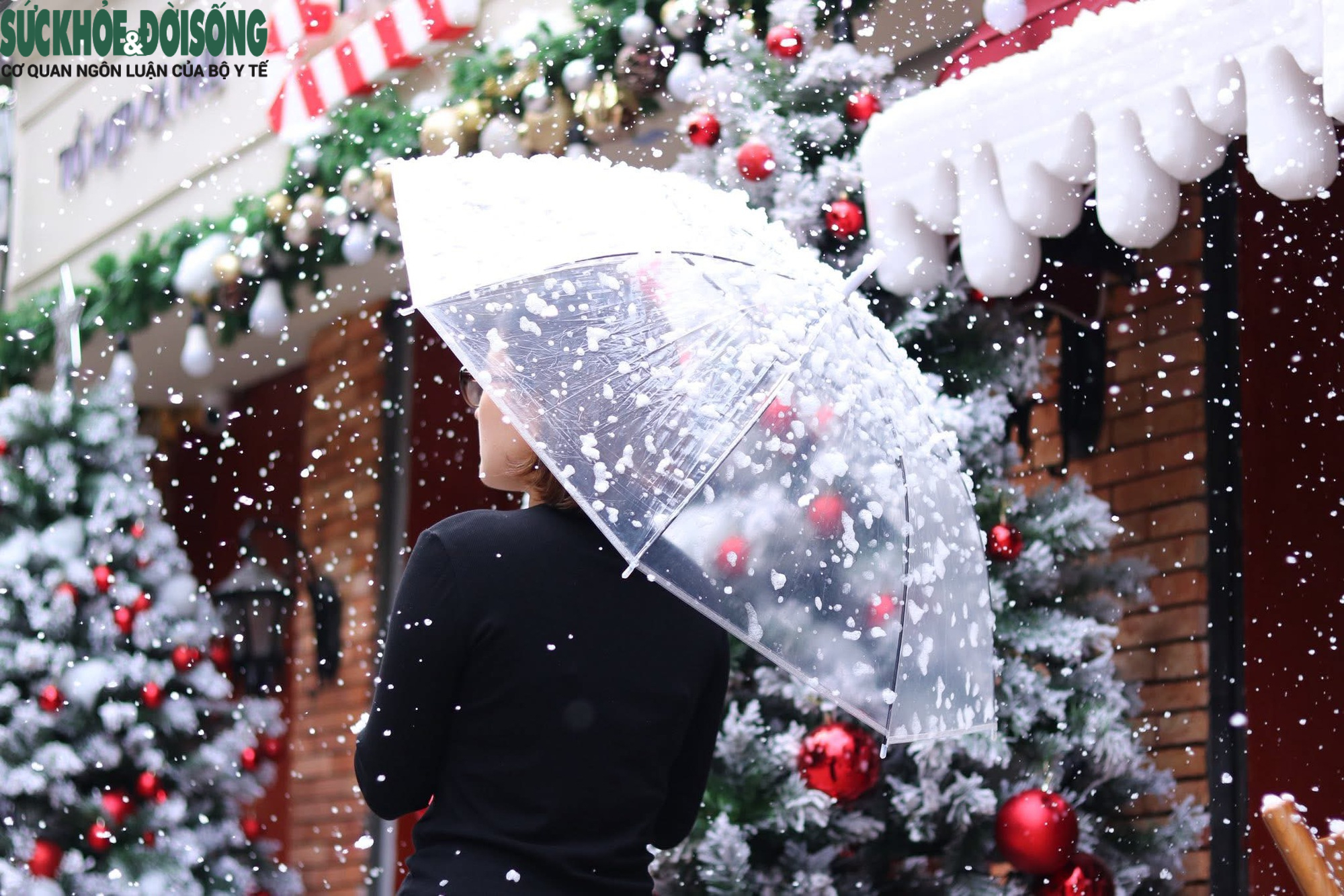 Quán cà phê biến thành 'ngôi làng tuyết' giữa lòng Thủ đô- Ảnh 6.