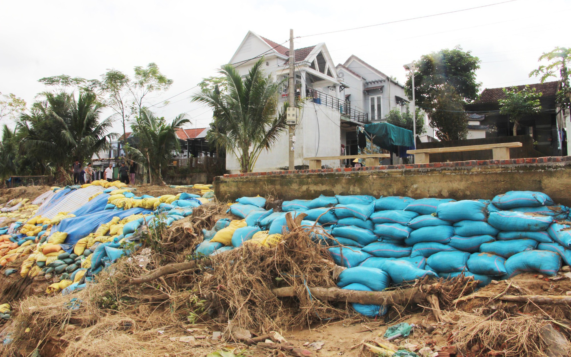 Tạm dừng hoạt động kinh doanh tại kè biển Mũi Né vì sạt lở- Ảnh 3.