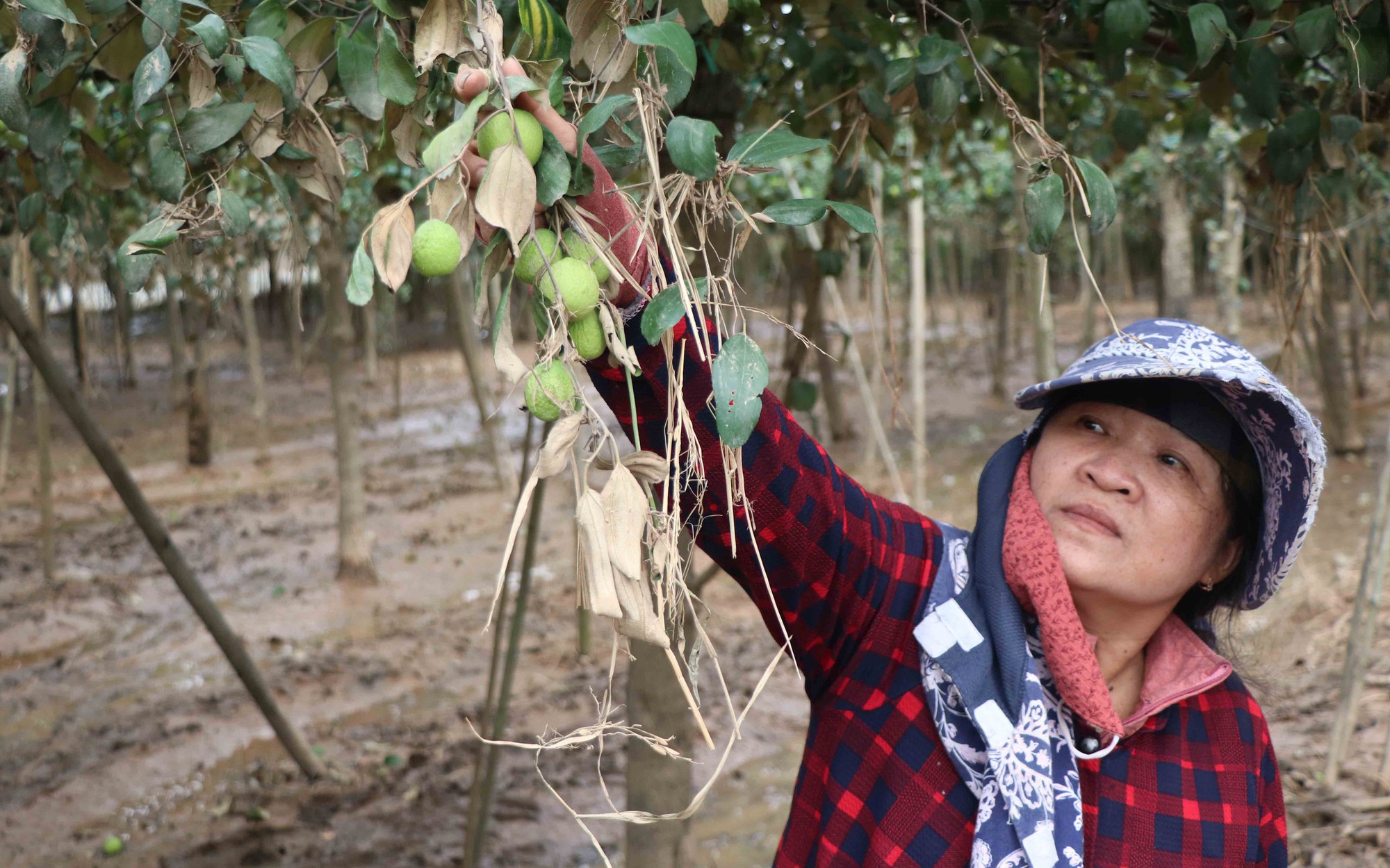Khánh Hòa ngập rác sau mưa lũ, lực lượng chức năng và công nhân môi trường làm việc xuyên đêm - Ảnh 7.