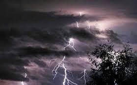 Nam Bộ và TPHCM đề phòng lốc xoáy, gió giật mạnh do bão số 15