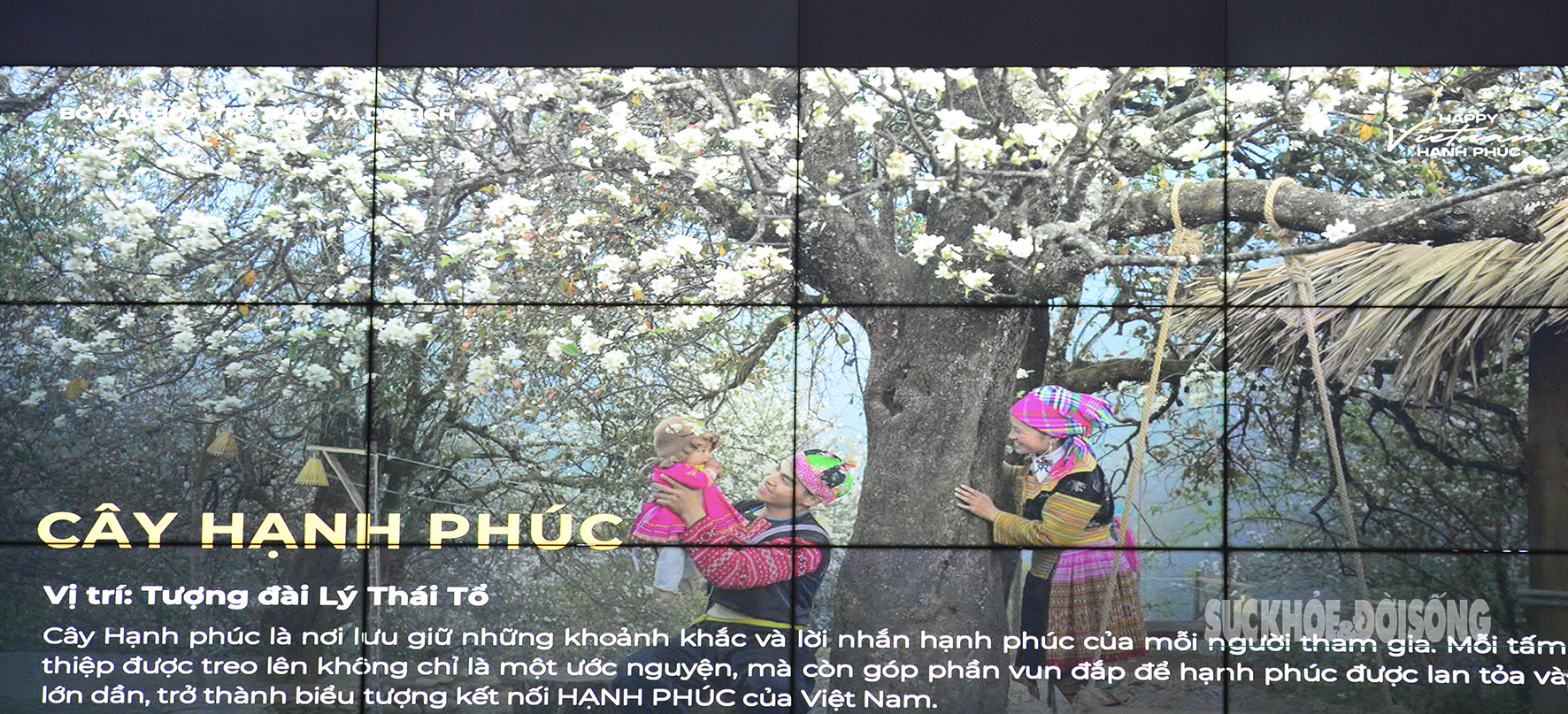 Hà Nội rộn ràng ‘nhịp hạnh phúc’ trong Vietnam Happy Fest 2025- Ảnh 3.