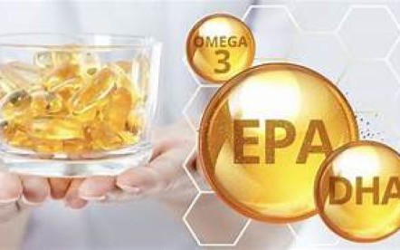 3 chất giúp tăng cường trí nhớ cho bộ não 1 bo nao 17643987374081919969322 0 53 276 495 crop 1764398976724576073375