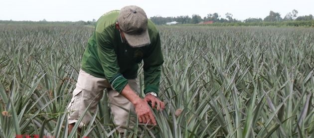 Đồng Tháp: Nhiều giải pháp hiệu quả để giảm nghèo bền vững- Ảnh 1. Đồng Tháp: Nhiều giải pháp hiệu quả để giảm nghèo bền vững- Ảnh 1.