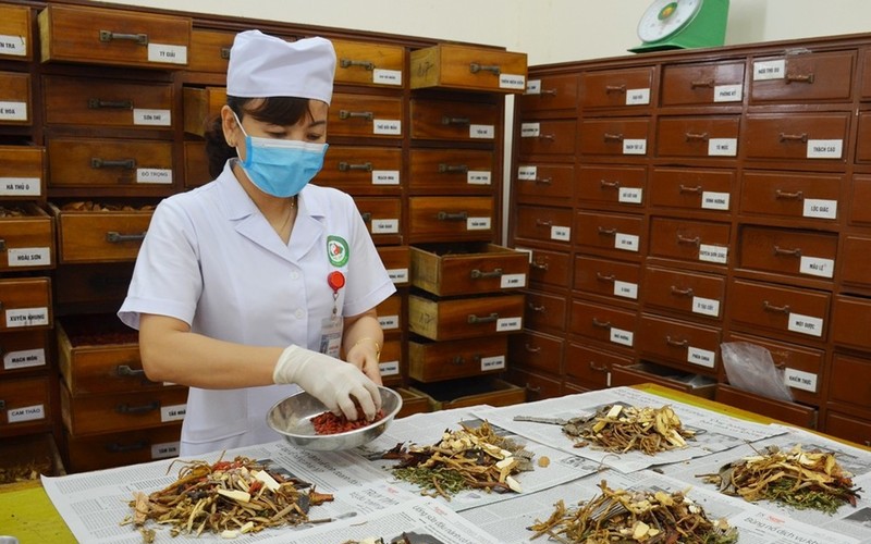 Hoàn thiện hành lang pháp lý trong bảo tồn và phát triển tri thức y học dân tộc