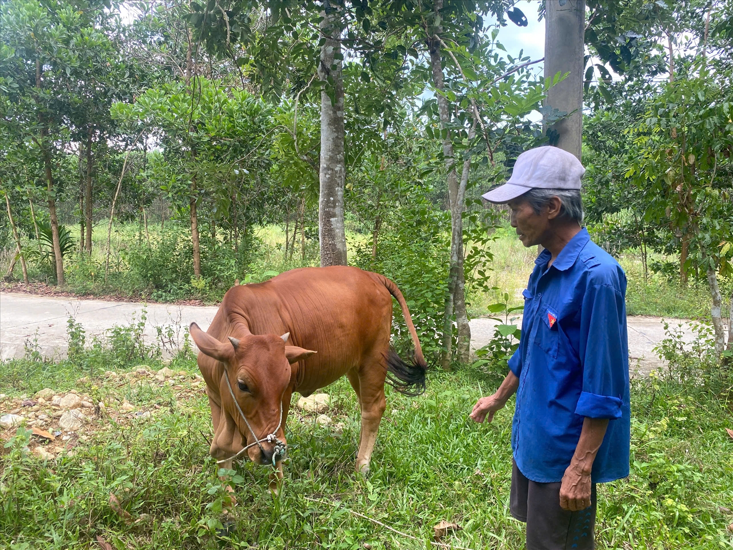 Đà Nẵng: Triển khai đồng bộ nhiều giải pháp giảm nghèo bền vững- Ảnh 1. Đà Nẵng: Triển khai đồng bộ nhiều giải pháp giảm nghèo bền vững- Ảnh 1.