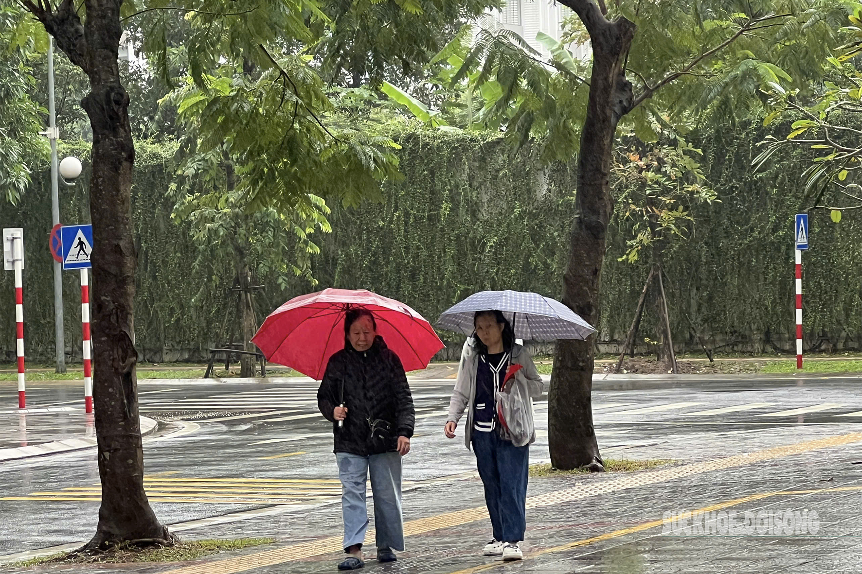 Giữa mưa phùn gió lạnh, người Hà Nội vẫn tất bật mưu sinh- Ảnh 3.