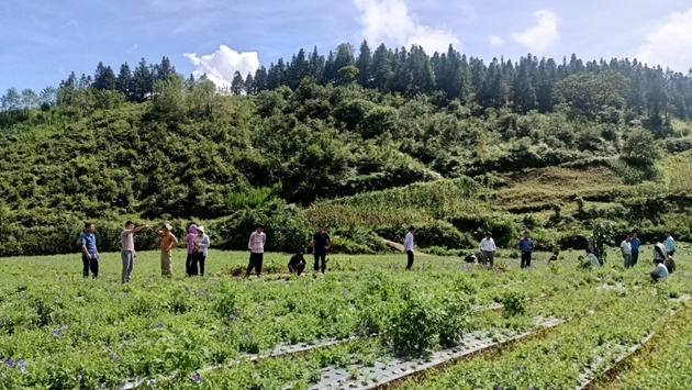 A group of people in a field  AI-generated content may be incorrect.