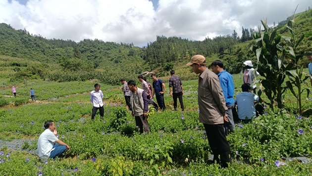 A group of people in a field  AI-generated content may be incorrect.