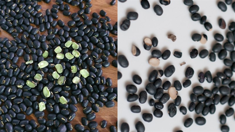 Uống nước đậu đen xanh lòng có tác dụng gì?- Ảnh 1. Uống nước đậu đen xanh lòng có tác dụng gì?- Ảnh 1.