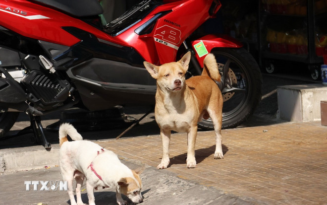 Hành vi cưỡng ép con học tập quá sức có thể bị phạt tới 10 triệu đồng- Ảnh 2. Hành vi cưỡng ép con học tập quá sức có thể bị phạt tới 10 triệu đồng- Ảnh 2.