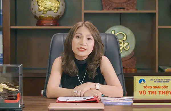 Phương thức huy động 9.100 tỷ đồng của bà chủ Nhật Nam- Ảnh 2. Phương thức huy động 9.100 tỷ đồng của bà chủ Nhật Nam- Ảnh 2.