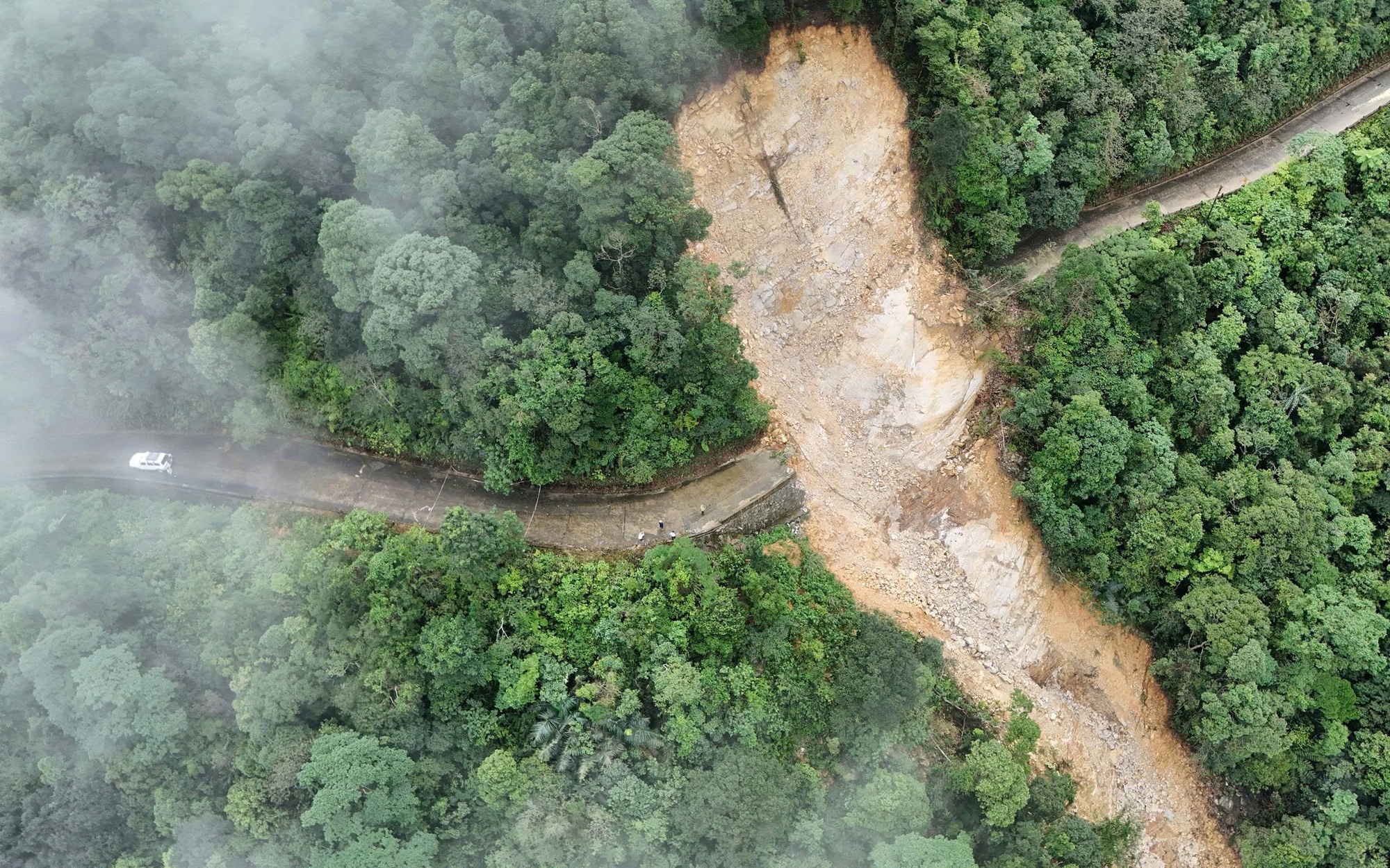 Khám phá Vườn di sản ASEAN, 'mái nhà chung' của nhiều loài động vật quý hiếm ở Huế- Ảnh 13. Khám phá Vườn di sản ASEAN, 'mái nhà chung' của nhiều loài động vật quý hiếm ở Huế- Ảnh 13.
