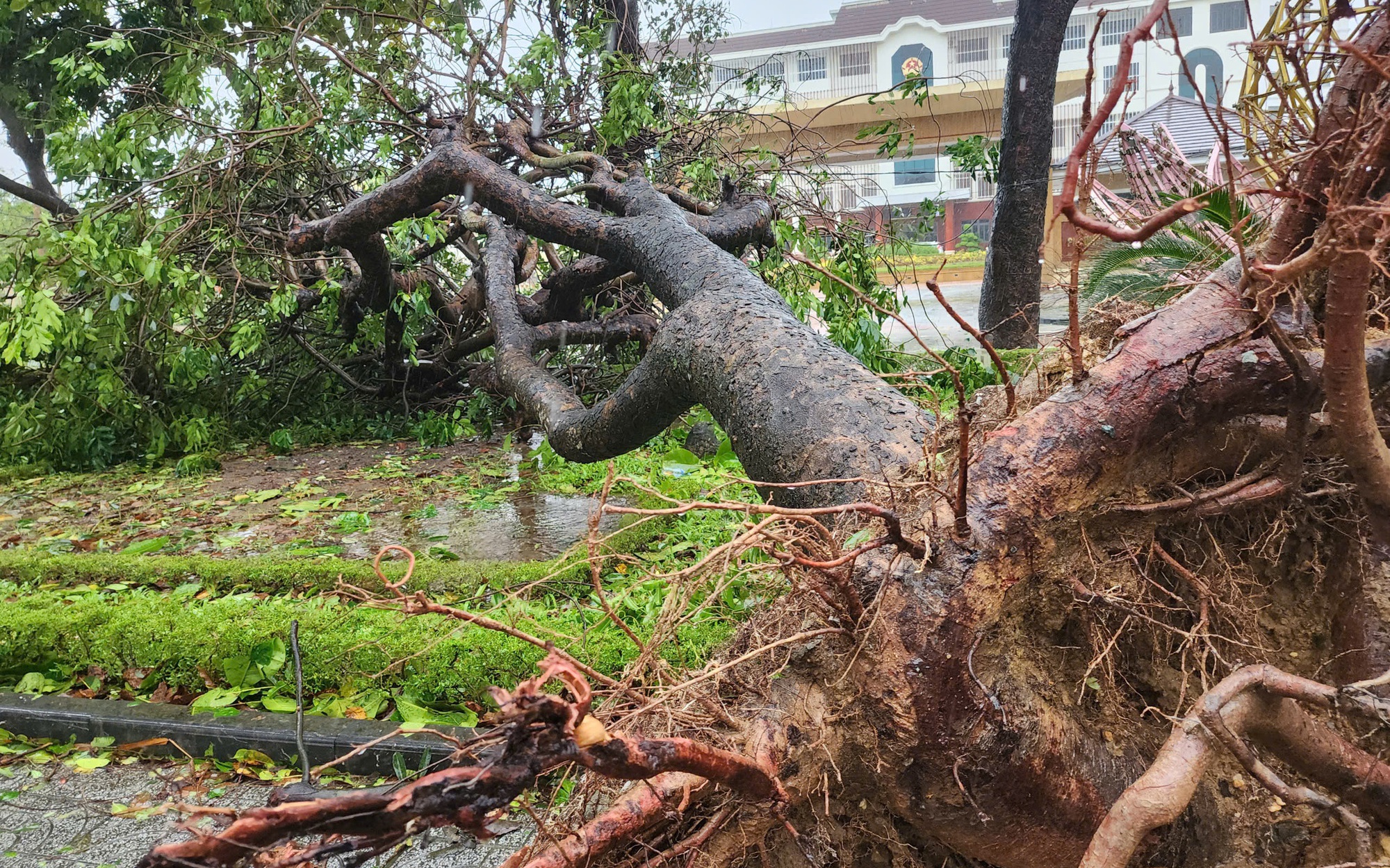 Bão số 13 gây gió lớn có thể làm đổ nhà, vỡ cửa kính nhà cao tầng- Ảnh 1. Bão số 13 đặc biệt nguy hiểm với cường độ rất lớn