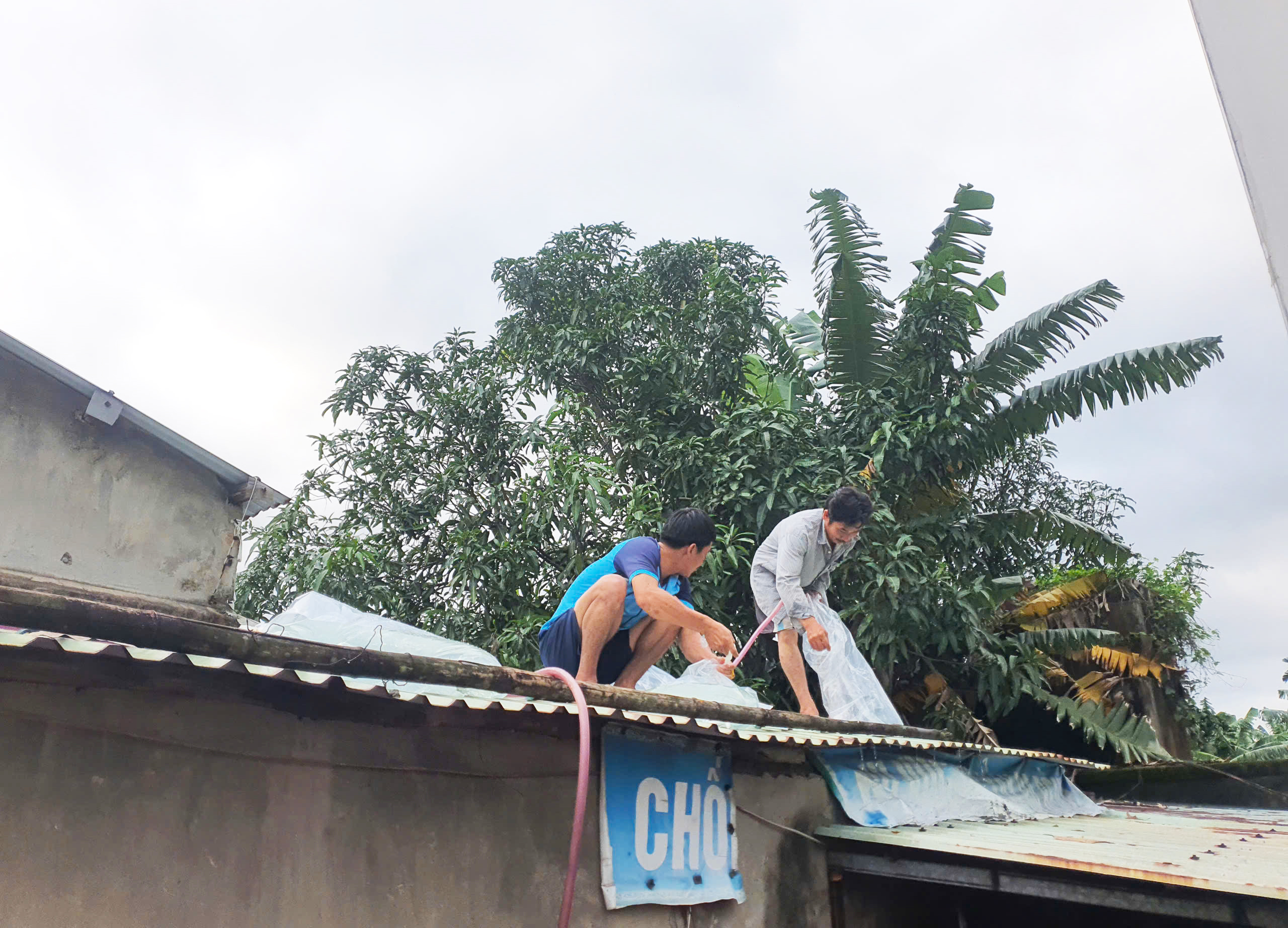 Sau lũ, người dân hối hả gia cố nhà cửa chống bão- Ảnh 1. Sau lũ, người dân hối hả gia cố nhà cửa chống bão- Ảnh 1.