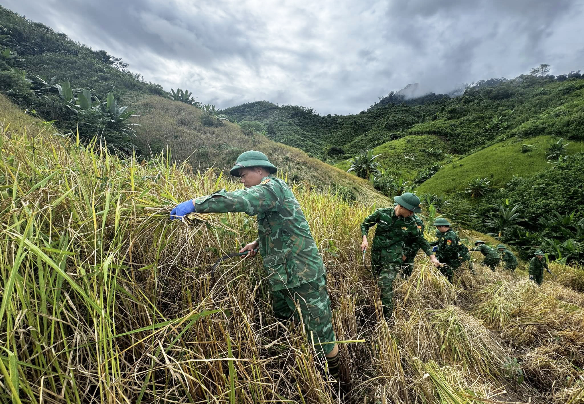 Sau lũ, người dân hối hả gia cố nhà cửa chống bão- Ảnh 10. Sau lũ, người dân hối hả gia cố nhà cửa chống bão- Ảnh 10.
