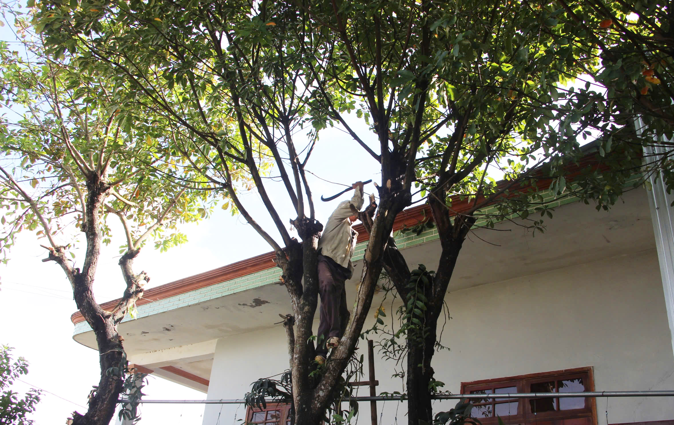 Sau lũ, người dân hối hả gia cố nhà cửa chống bão- Ảnh 5. Sau lũ, người dân hối hả gia cố nhà cửa chống bão- Ảnh 5.